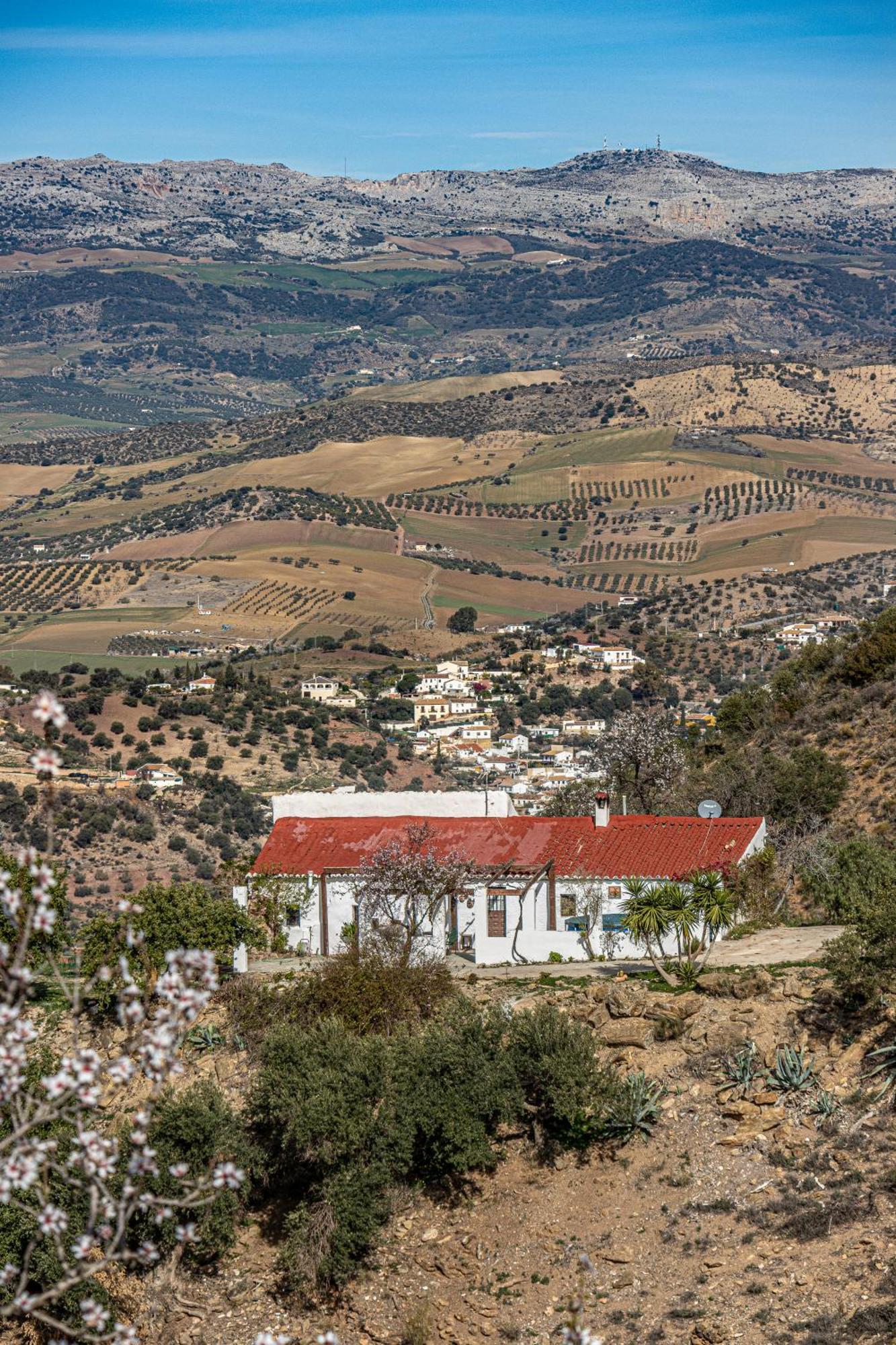 El Sueno, Cortijo Andalusi Del Siglo XIX Villa Almogía Kültér fotó