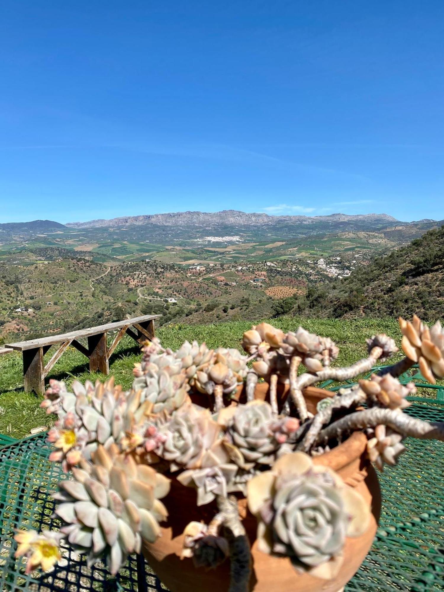 El Sueno, Cortijo Andalusi Del Siglo XIX Villa Almogía Kültér fotó